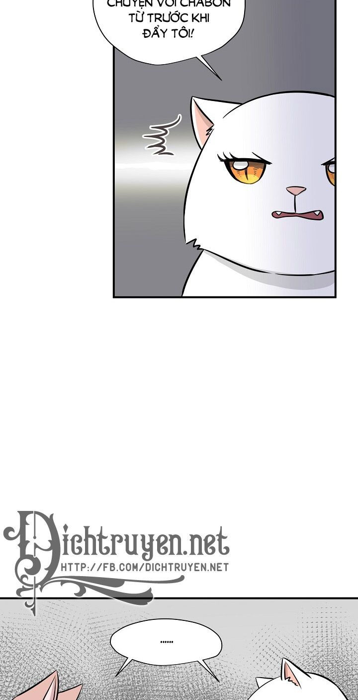 cuộc sống kỳ thú chapter 45 13