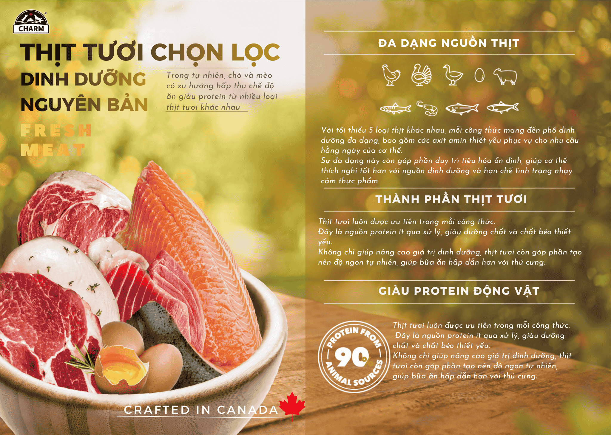 Thức Ăn Hạt Mèo cao cấp Cá Đại Dương CHARM North Atlantic Ocean Fish Cat Food Canada - CHỌN