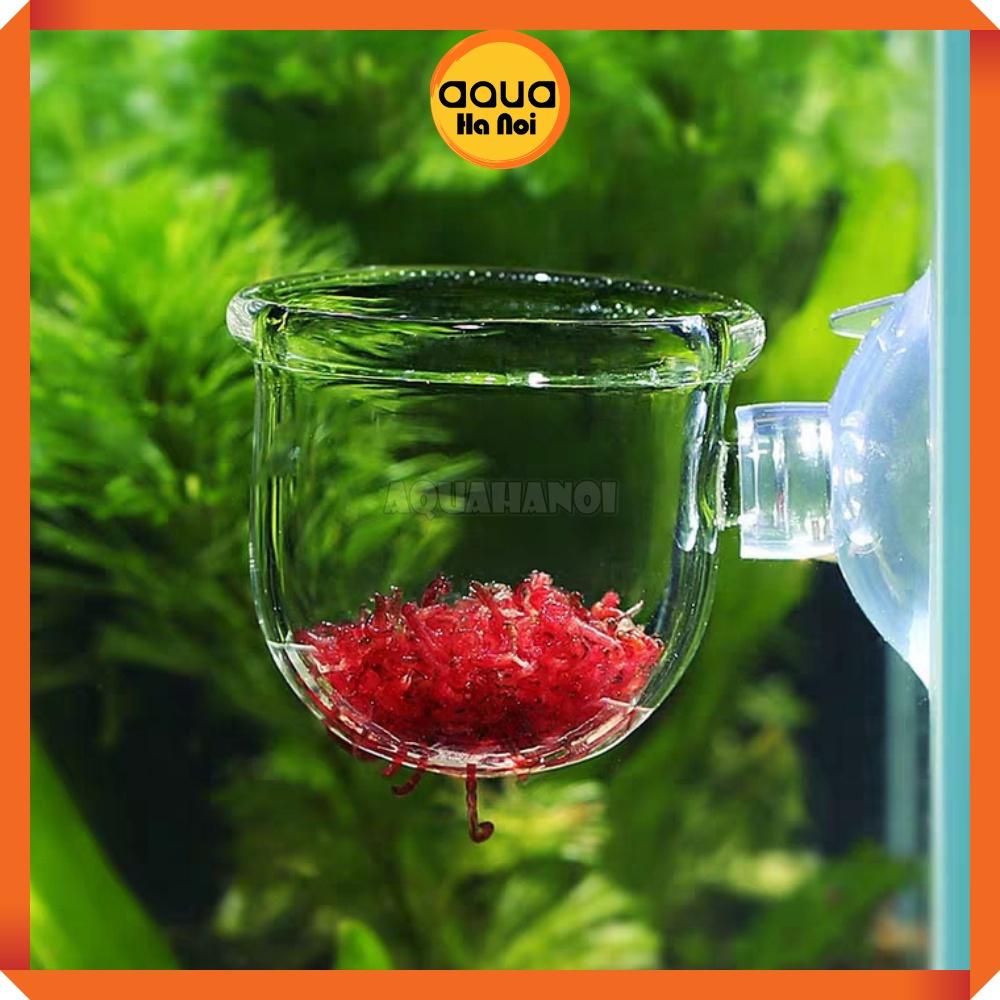 Cốc mica đựng giun trùn chỉ cho cá ăn - dán hồ kính