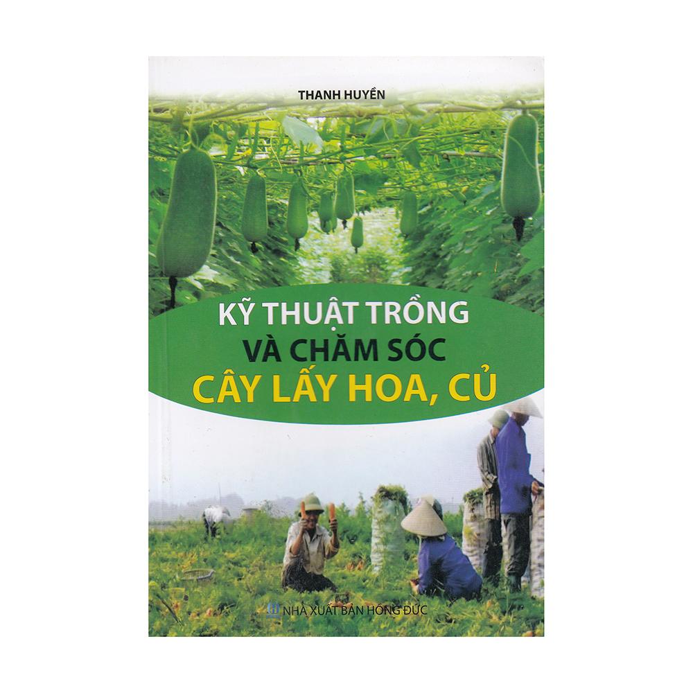 Kỹ Thuật Trồng Và Chăm Sóc Cây Lấy Hoa, Củ