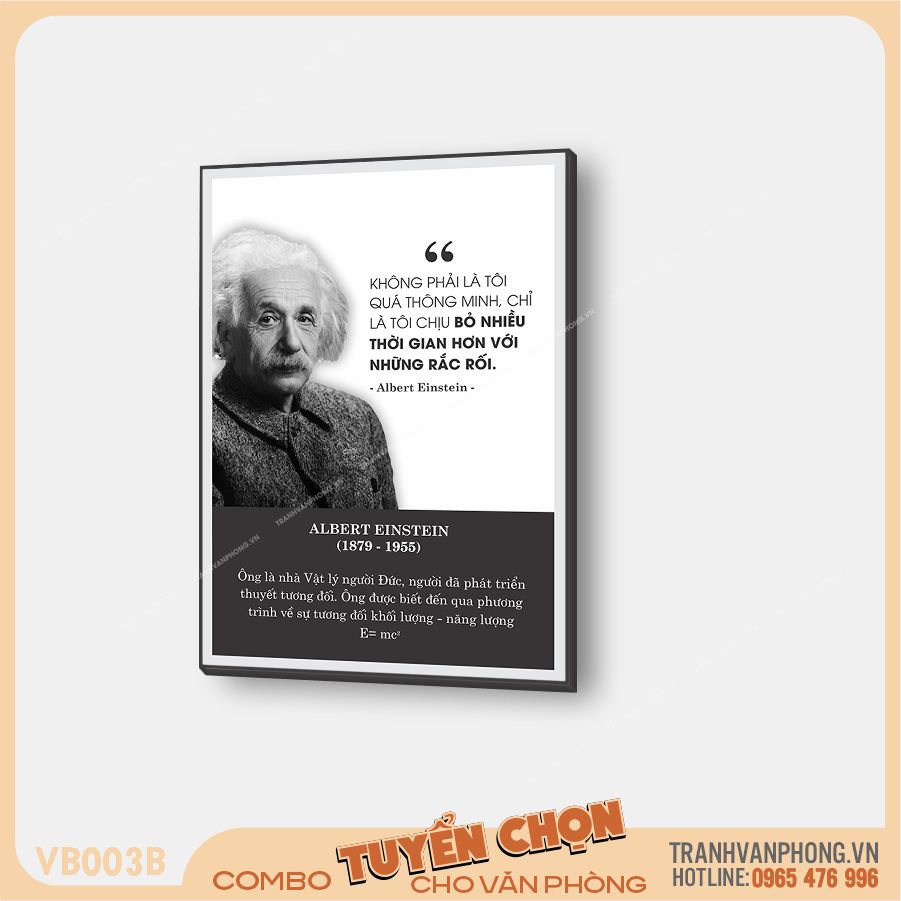 Bộ 3 tranh quotes vĩ nhân và các trích dẫn nổi tiếng - VB003