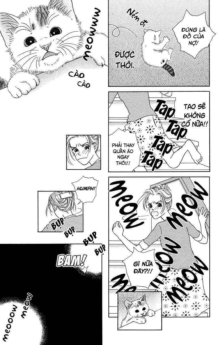 cuộc sống thường nhật của mèo zaccho chapter 1.5 19