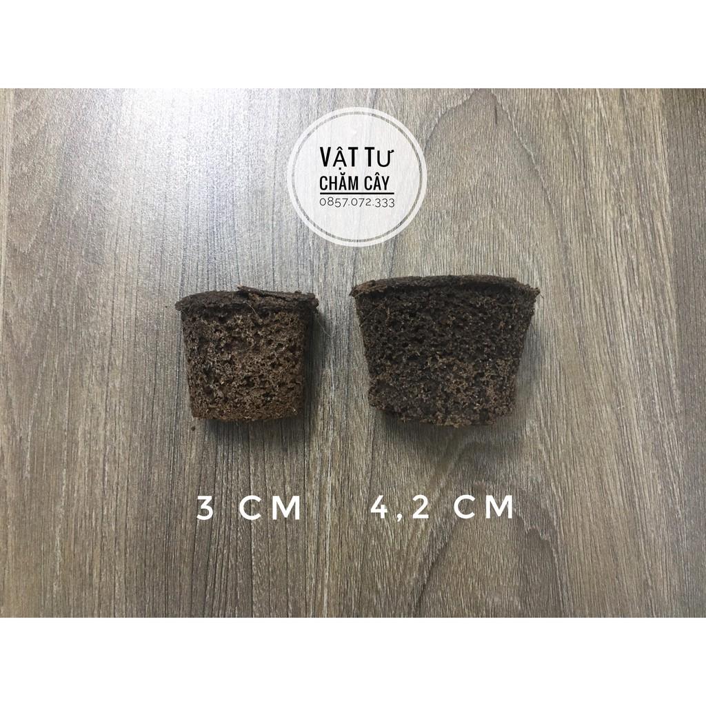 Mút Hữu Cơ Ươm Kie - Tạo Độ Ẩm - Kích Rễ Lan