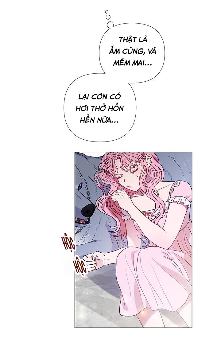 elizabeth chapter 18 29