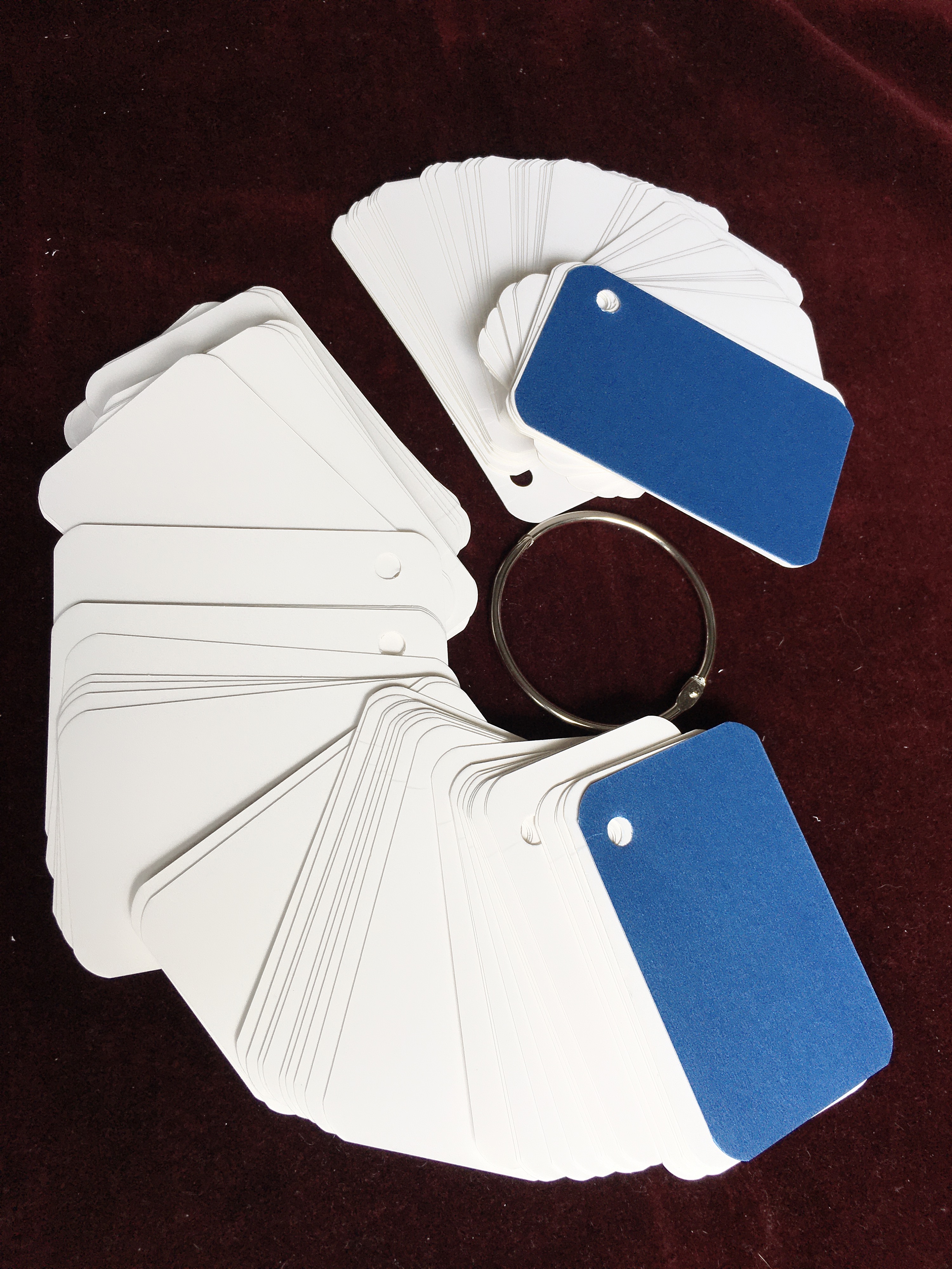 Bộ thẻ  FlashCard trắng cao cấp SIÊU DÀY (100 thẻ trắng +bìa+khoen) dùng học ngoại ngữ hiệu quả -Hãy để flashcard trắng làm công cụ hổ trợ đắc lực cho bạn trong việc học