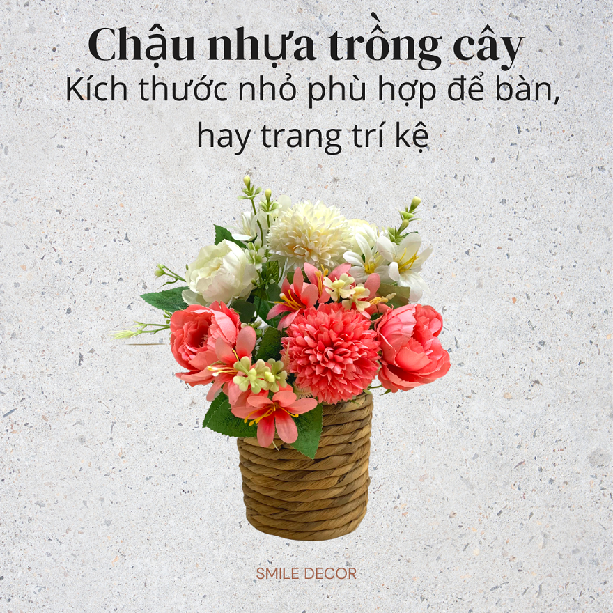 Chậu nhựa trồng cây phối lục bình Smile Decor kín đáy trang trí nhà cửa