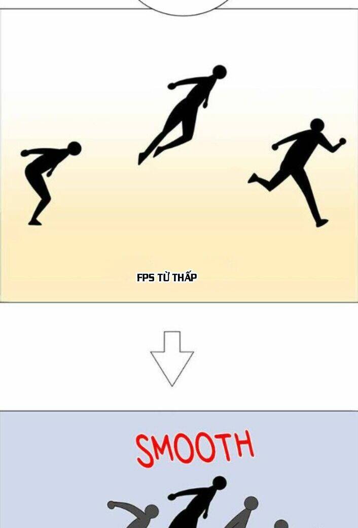 no scope chapter 115 46