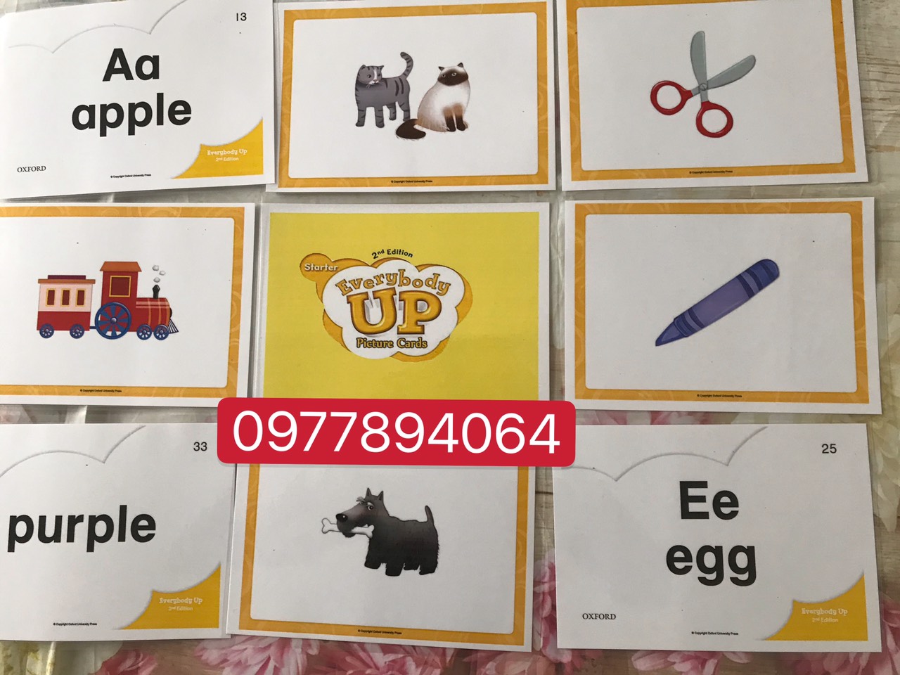 Flashcard Tiếng Anh cho giáo trình Everybody up starter