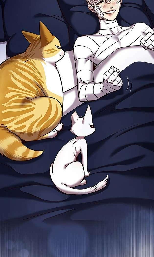 biến thân thành mèo chapter 253 71