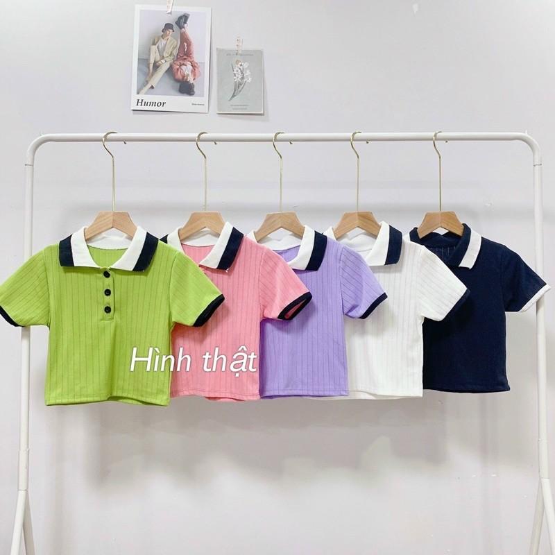 áo polo croptop thun gân mịn siêu hot