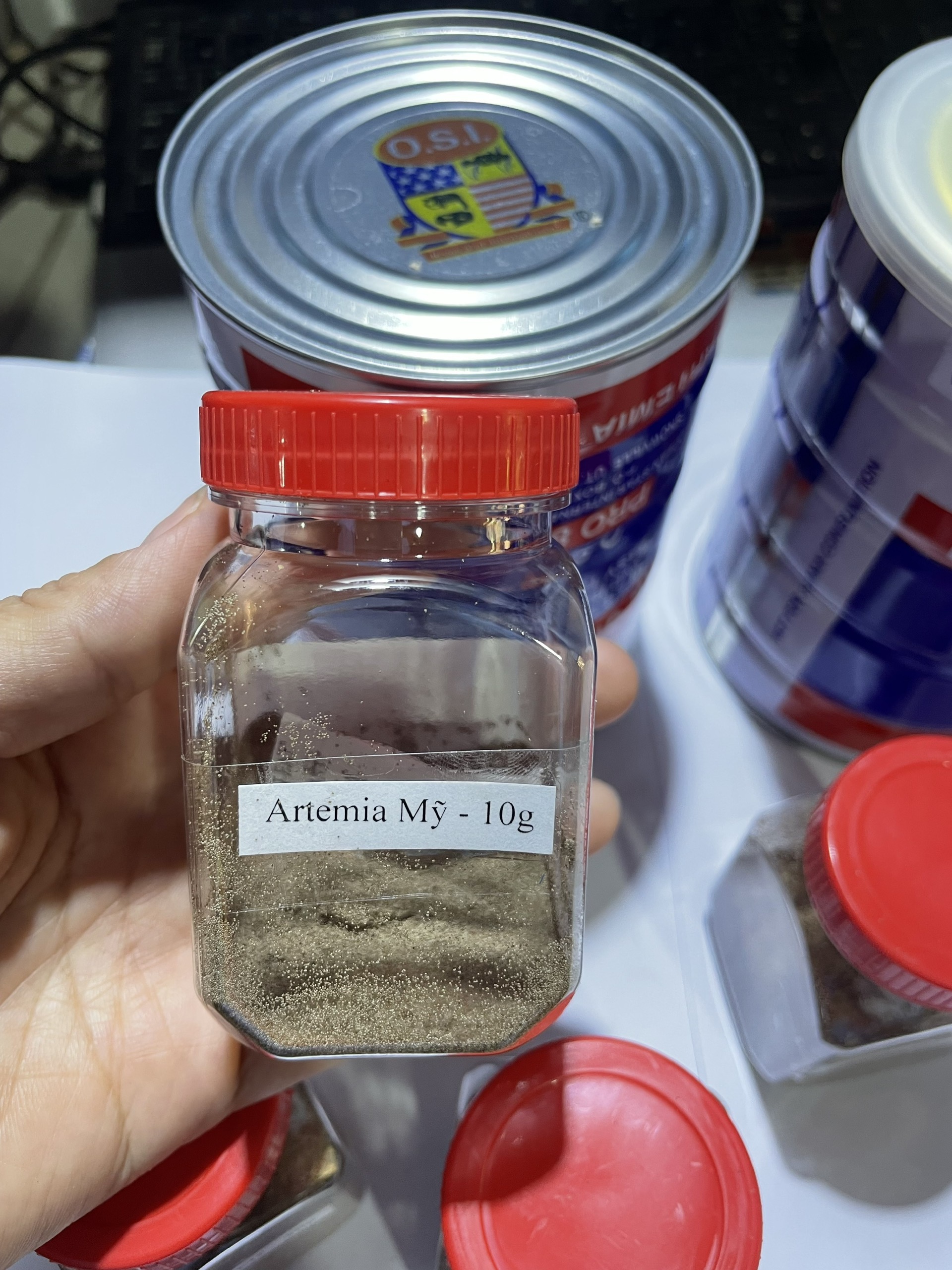 artemia Mỹ chất lượng  dành cho cá,tôm,cua giống và tất cả các loại cá cảnh