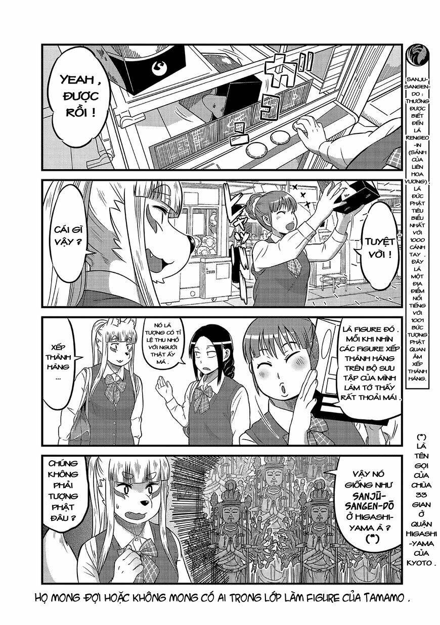 high school inari tamamo-chan ! chapter 7 7