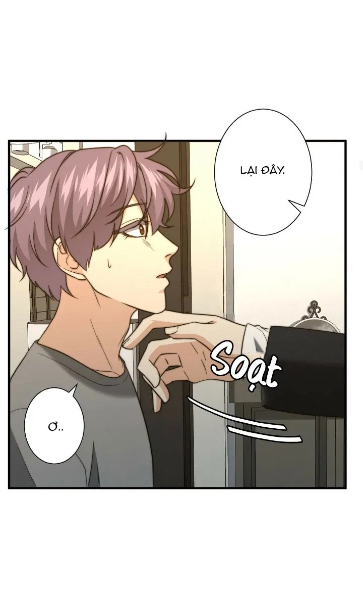 bí mật của omega k chapter 22 26