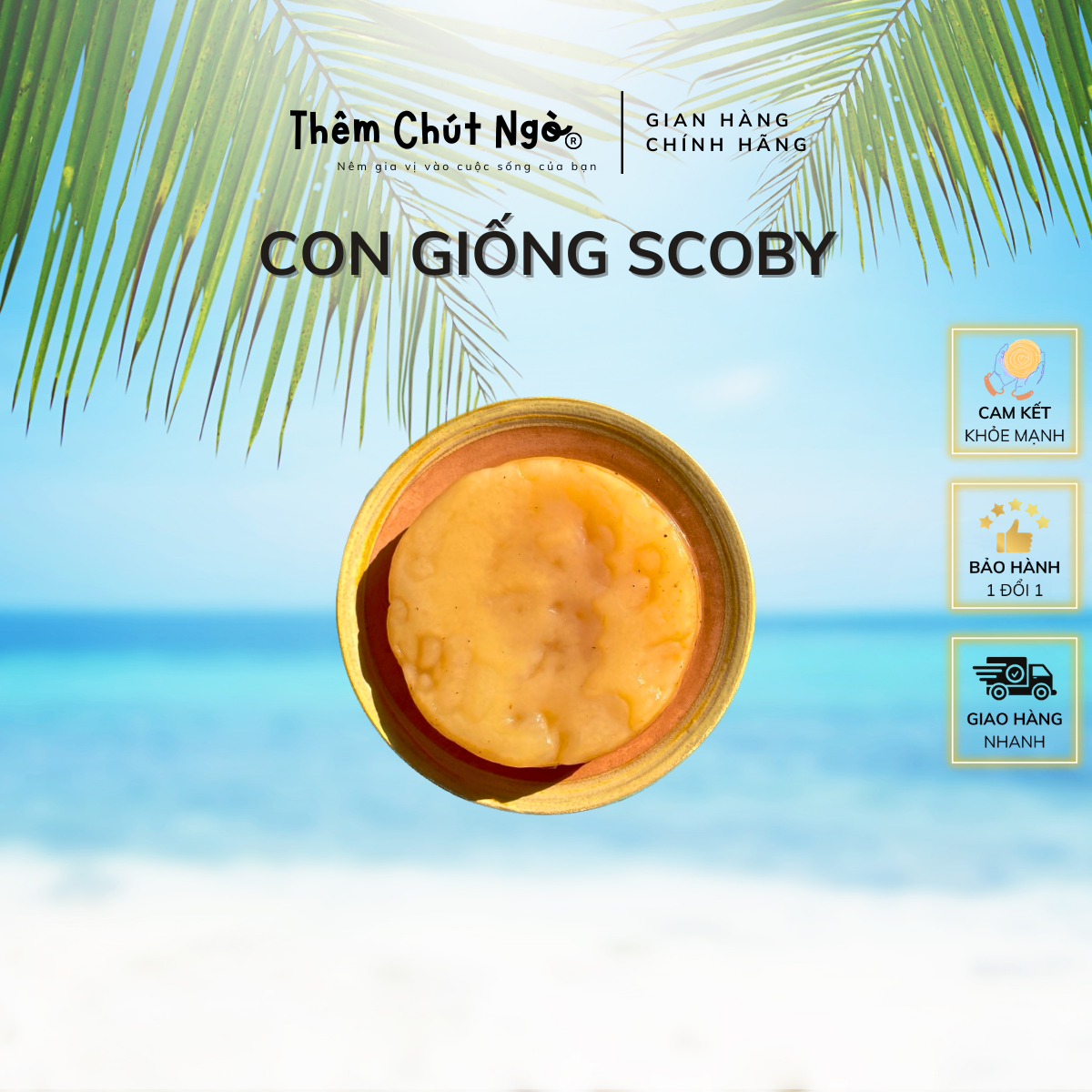 Scoby làm trà Kombucha, con giống Kombucha kèm nước mồi 150ml, con giống làm trà Kombucha