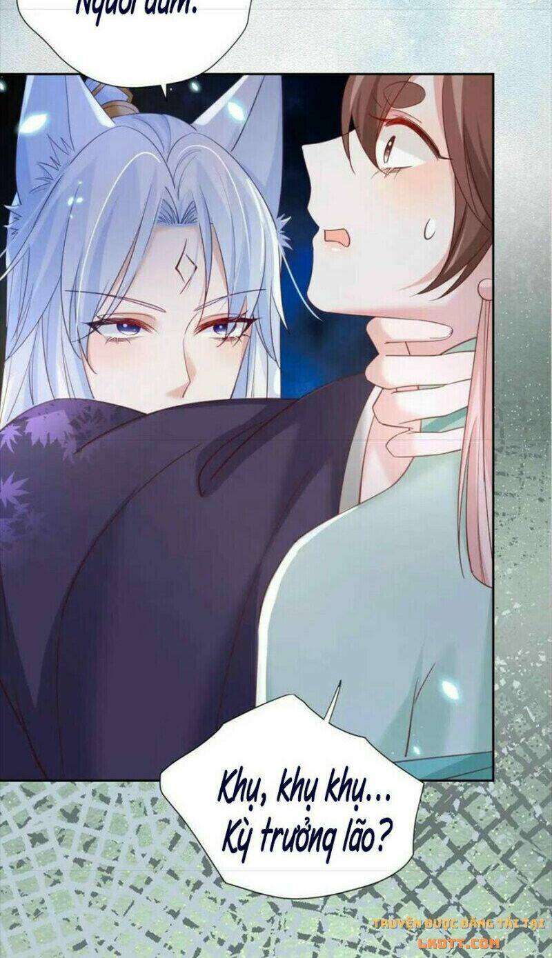 hắc hóa nam chính trực tuyến nuôi thỏ chapter 62 24