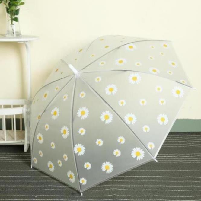 HOT SALES - Ô Dù Hoa Cúc gấp gọn