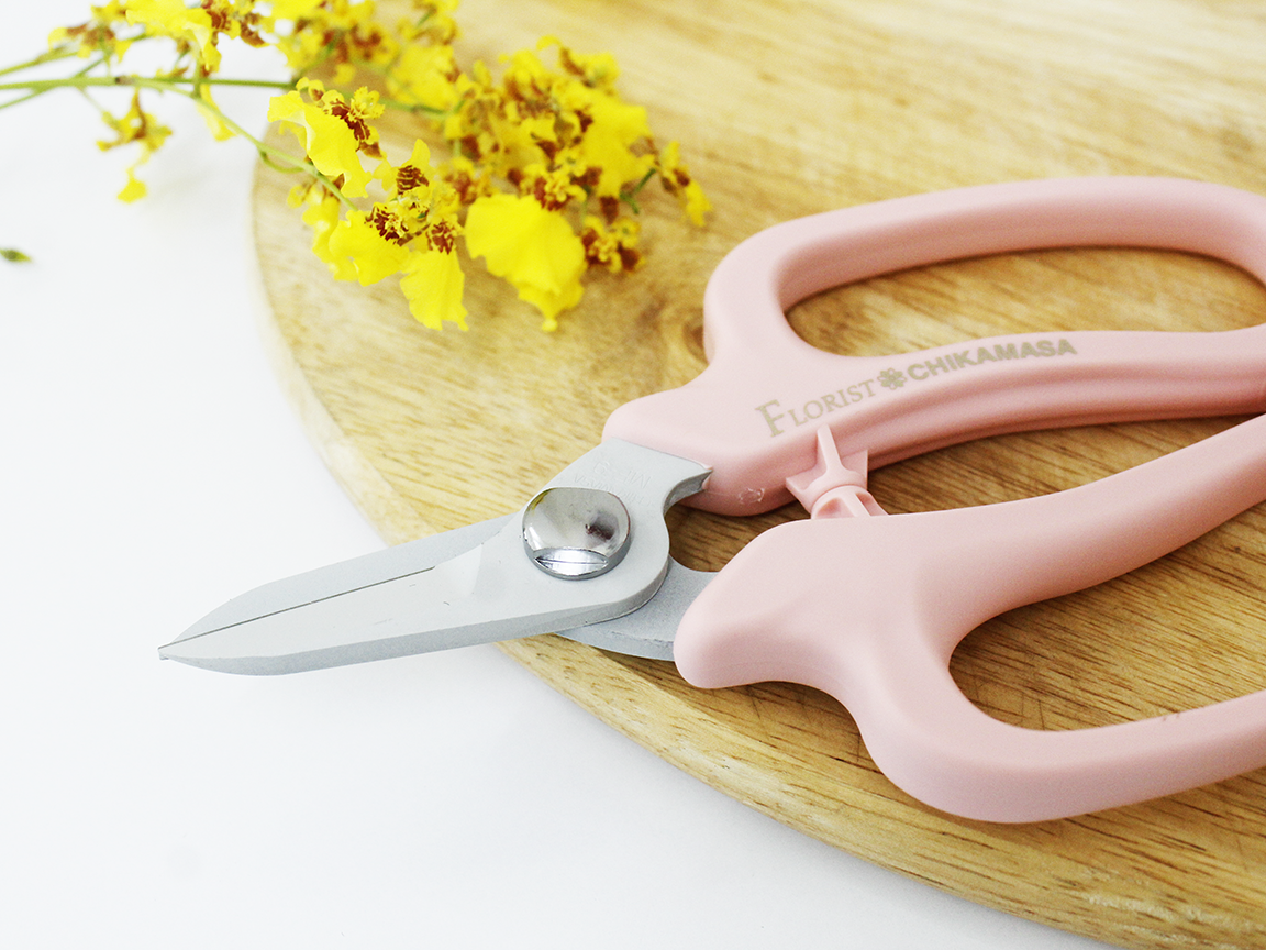Kéo cắt hoa quả cao cấp Nhật Bản Chikamasa MF-9000P