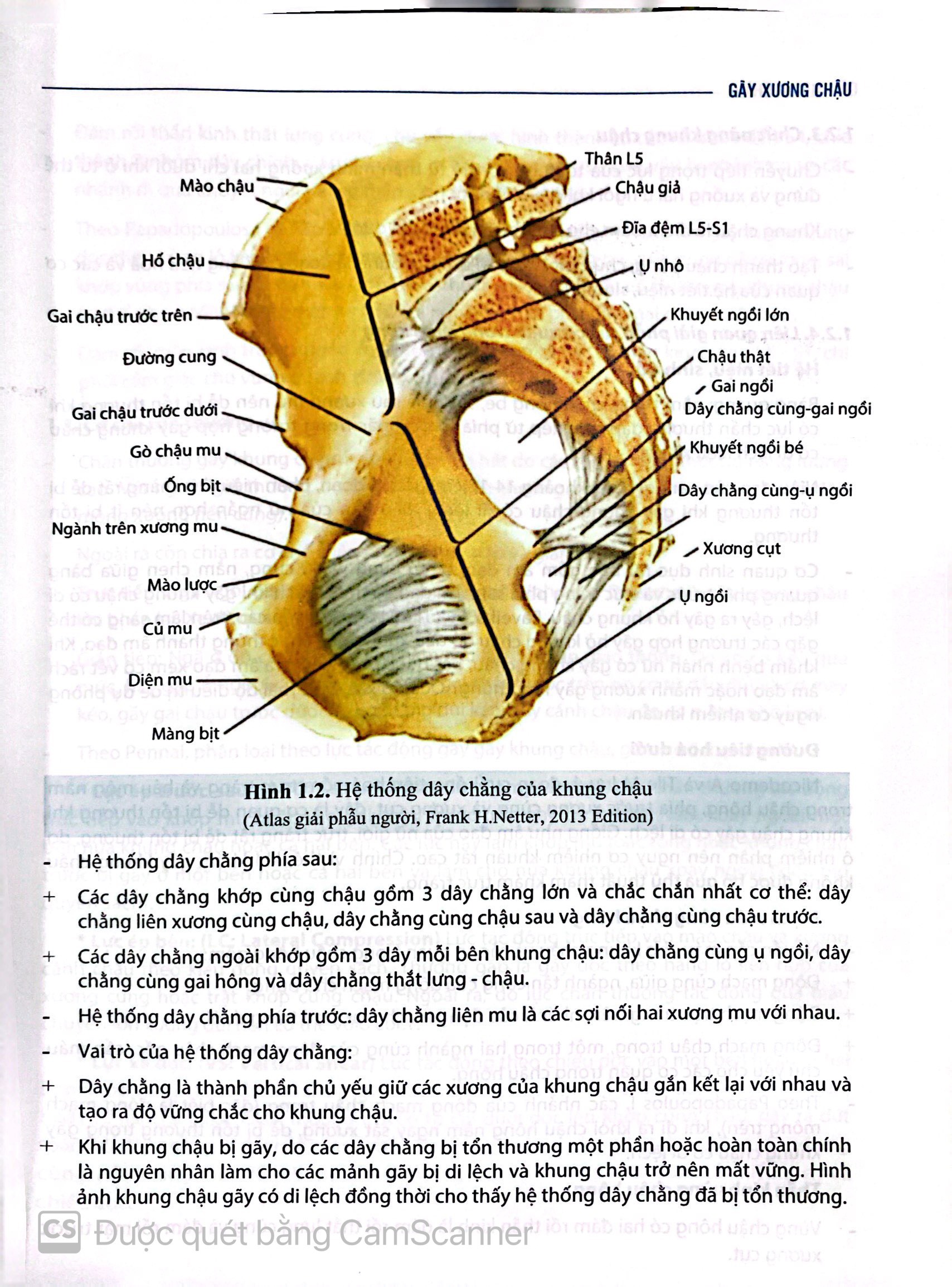 Benito - Sách - Chẩn đoán và ĐT gãy xương trật khớp chi dưới - NXB Y học