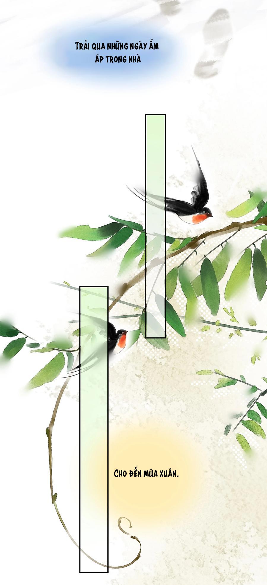 không làm trai bao! chapter 104 7