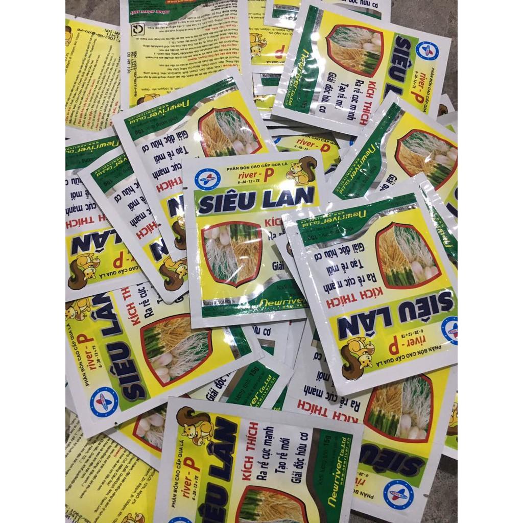 SIÊU LÂN - Kích ra rễ mới