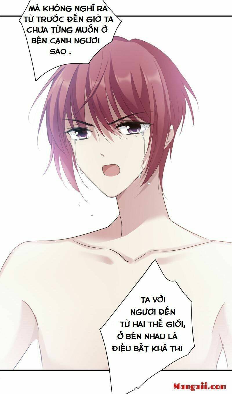 toàn cơ từ chapter 56.1 17