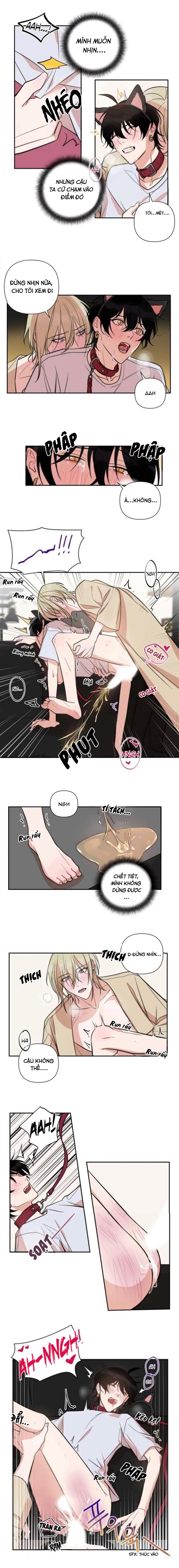 xu hướng tình dục bạn học chapter 30 5