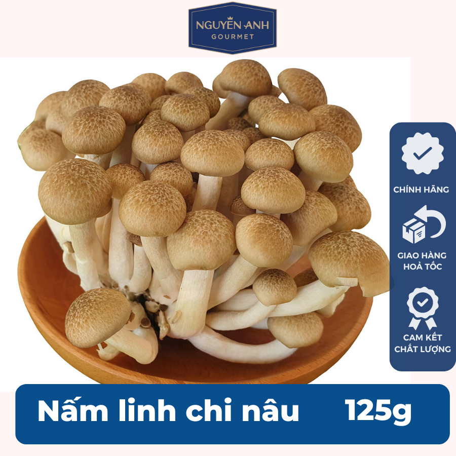 Nấm linh chi nâu tươi 125g nông trại Nấm Xanh