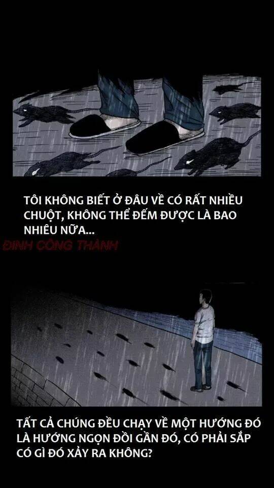 thầy súng kể chuyện ma chapter 36 16