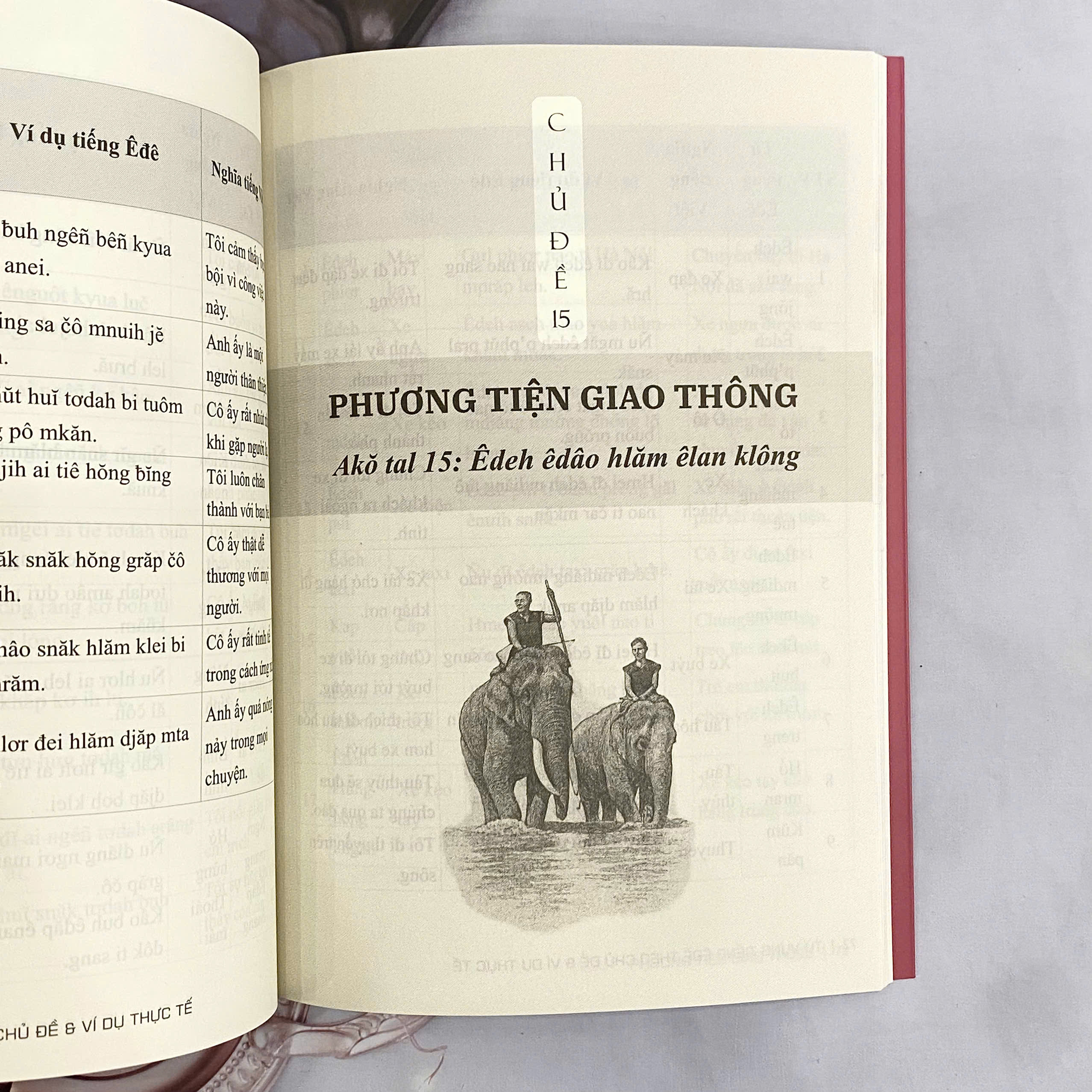 COMBO 2 cuốn: Từ vựng tiếng Êđê theo chủ đề và ví dụ thực tế (Song ngữ Êđê - Việt) + Tự học tiếng Êđê qua các tình huống
