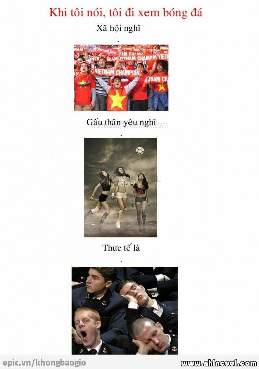 hình ảnh hài hước new chapter 8 20