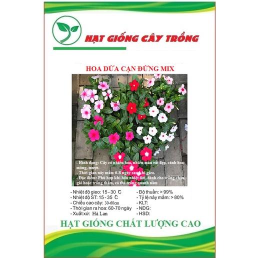 Hạt Giống Hoa Dừa Cạn Đứng Nhiều Màu CT408 - Gói 50 hạt