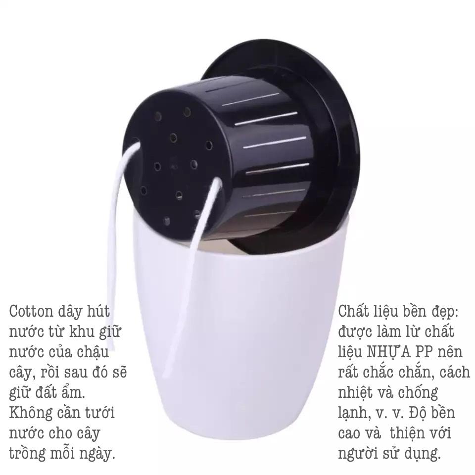 Chậu trồng cây tự tưới Oliz H0