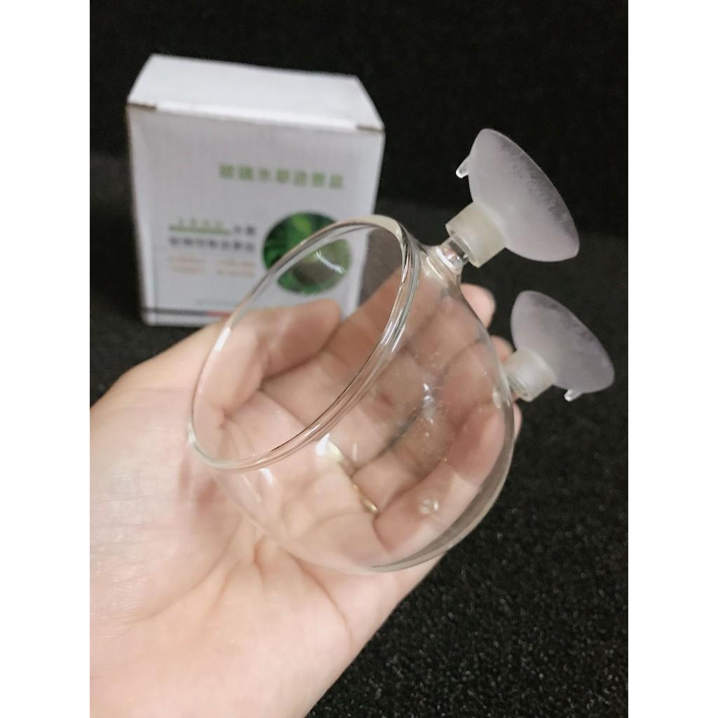 Cốc trồng cây thủy sinh