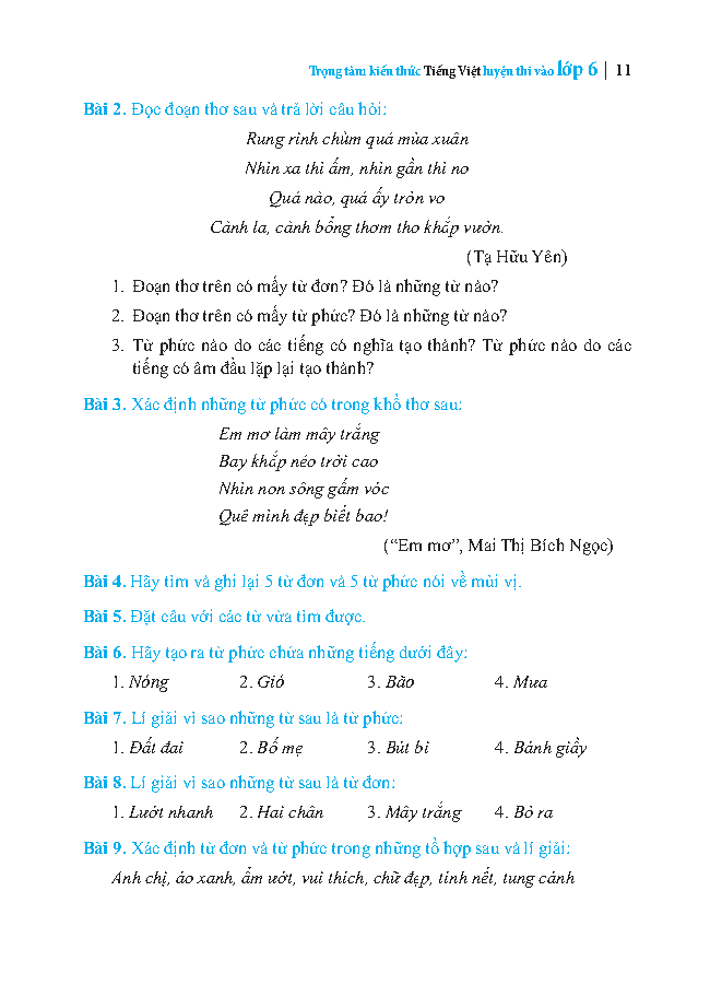 Trọng Tâm Kiến Thức Tiếng Việt Luyện Thi Vào Lớp 6 - Có Đáp Án - Tập 1