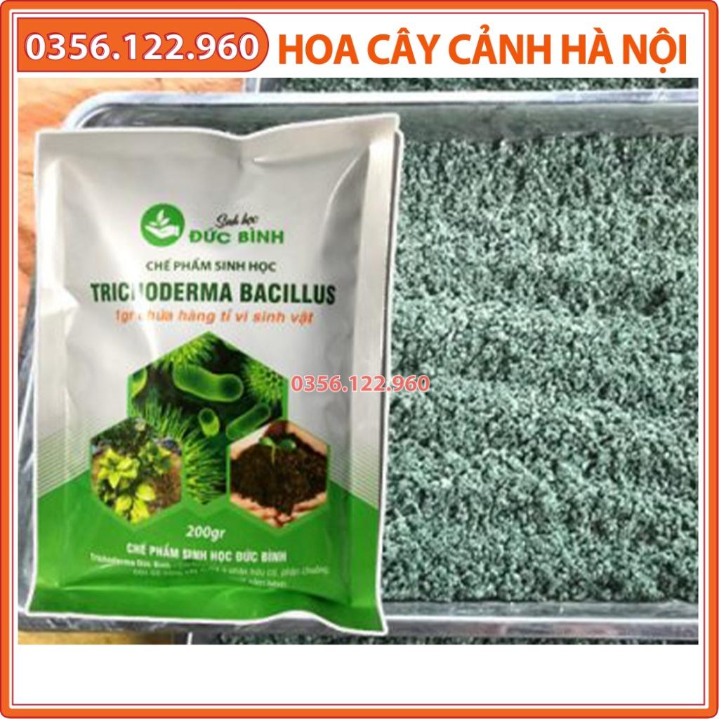 Chế phẩm sinh học Trichoderma Bacillus 200g cải tạo đất, cần thiết cho cây trồng - Shop hoa cây cảnh Hà Nội
