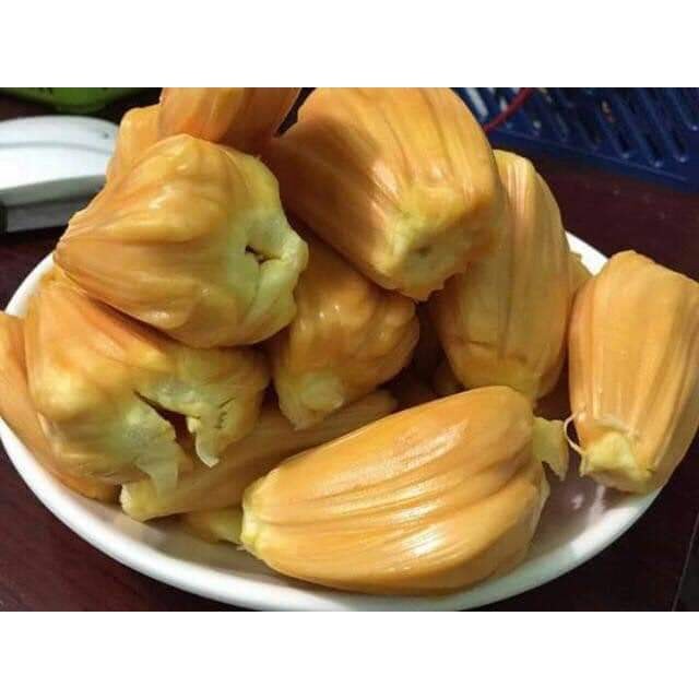 Ây Giống Mít nghệ tứ quý