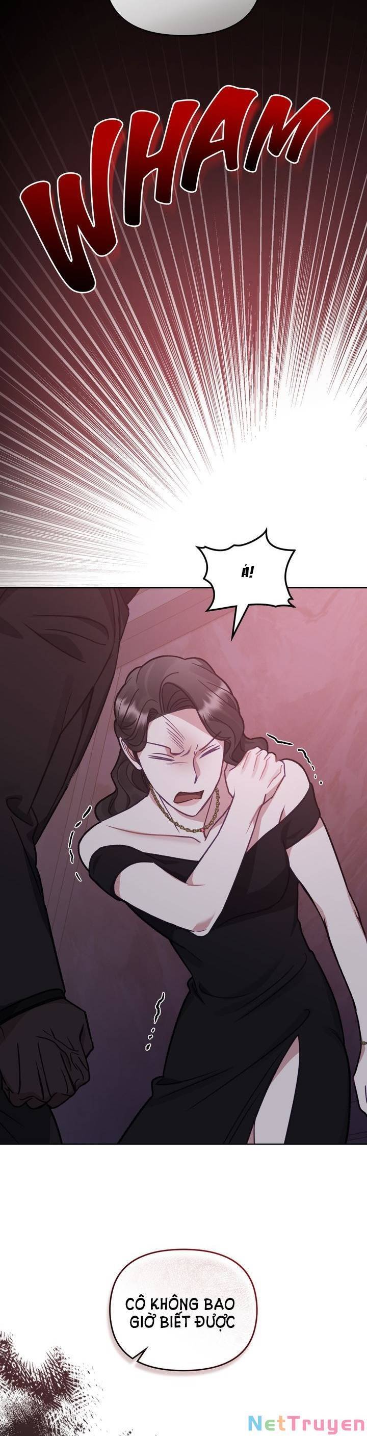 kẻ nghiệp dư chapter 24.5 8