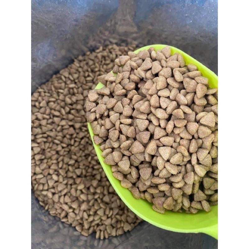 Gói chiết Hạt cao cấp NutriPlan cho mèo mọi lứa tuổi gói chiết 500gr, 1kg