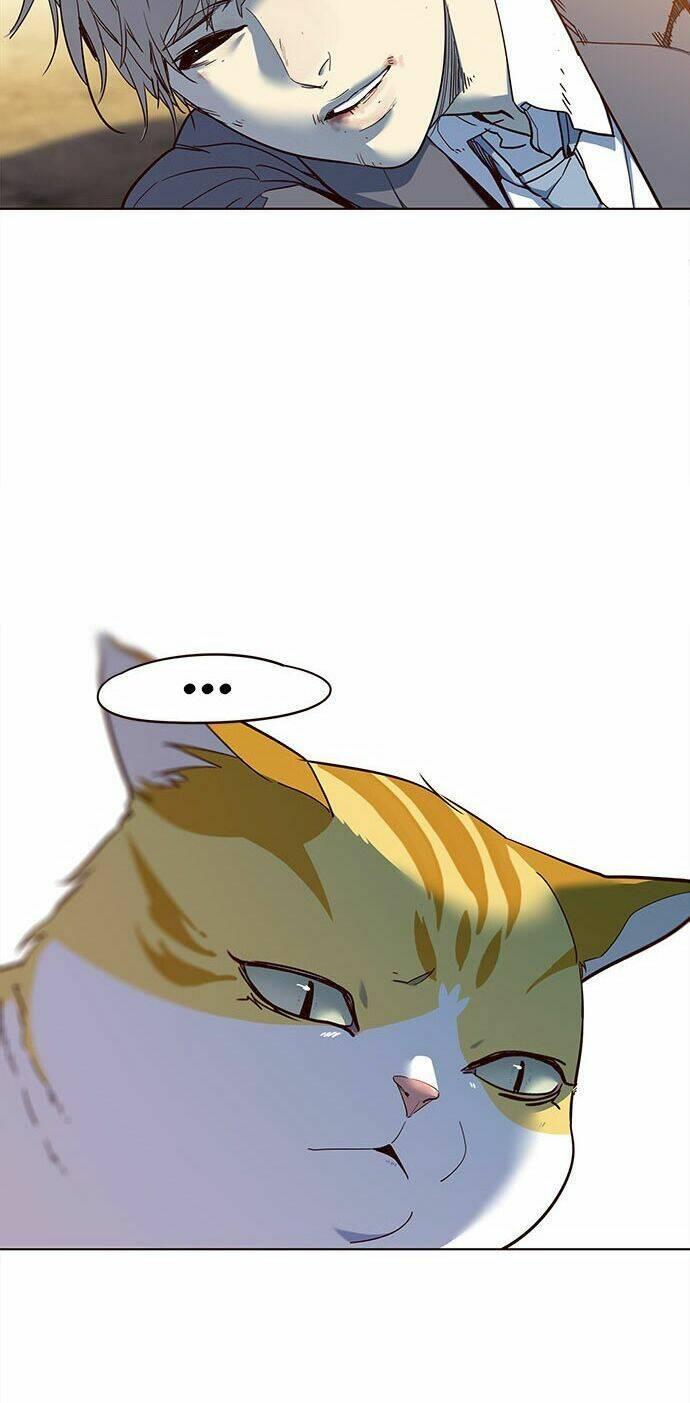 biến thân thành mèo chapter 14 22