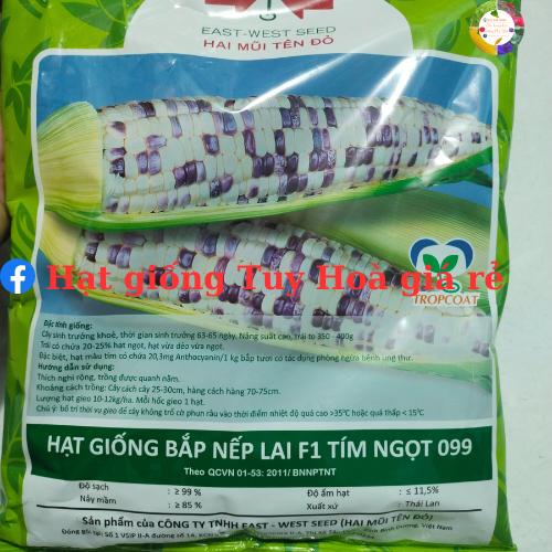 Hạt giống ngô nếp lai f1 tím ngọt 099 gói 500 gram