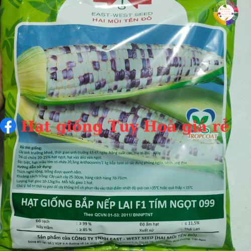 Hạt giống ngô nếp lai f1 tím ngọt 099 gói 1kg