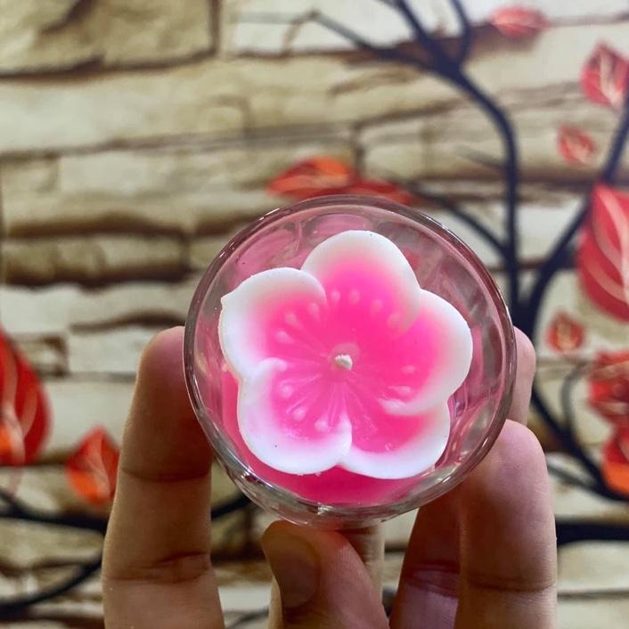 Hộp nến 6 ly nhiều màu - nến ly hoa hồng hoa cúc - cốc nến trang trí cao cấp candle shop