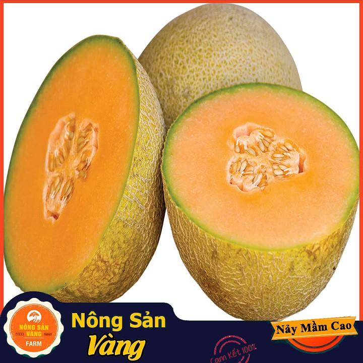 Hạt giống Dưa Lưới Ruột Vàng