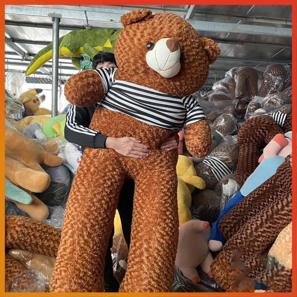 Gấu bông Teddy ̀ ̂́, gối ôm hình thú nhồi bông siêu to khổng lồ 1m8/1m5/1m3/1m1/95cm