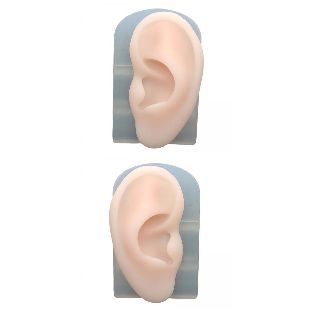 2Pcs Human Body Part Model Flexible Mold for Piercing Exercises Ears