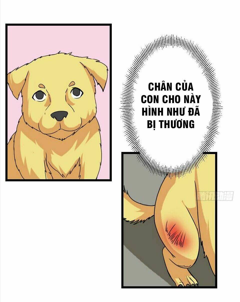 ngưu thư cung ứng thương chapter 14 9