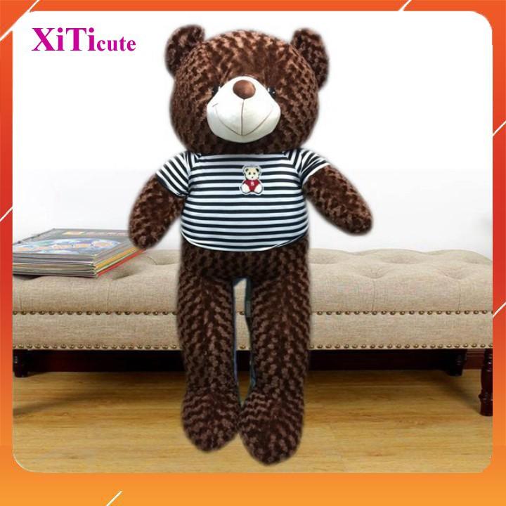 Thú nhồi bông gấu Teddy SIÊU TO khổng lồ dùng để làm quà tặng người thương, gối ôm hoặc vật trang trí trong nhà