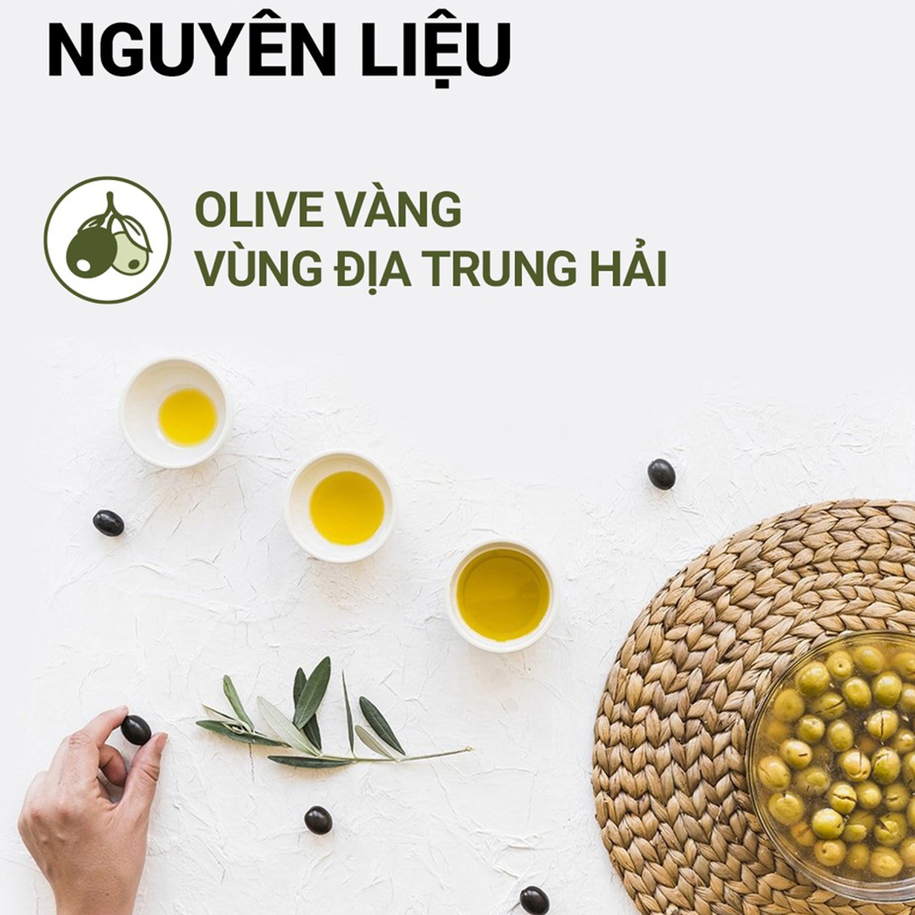 Dầu Xả Avatar Cao Cấp Tinh Chất OLIVE Giúp Tóc Bồng Bềnh Chắc Khỏe 800Ml