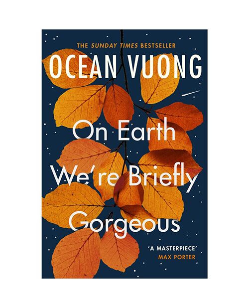 On Earth We're Briefly Gorgeous