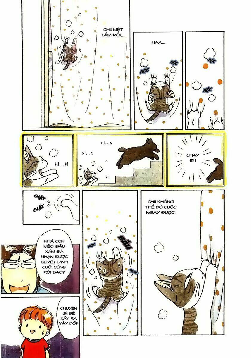 chi's sweet home chapter 49 6